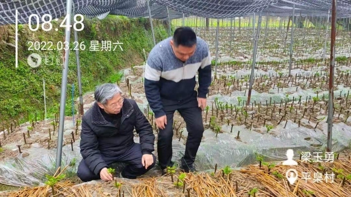图片7.png