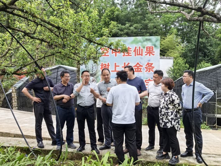 微信图片_20260522122137_872_15.jpg