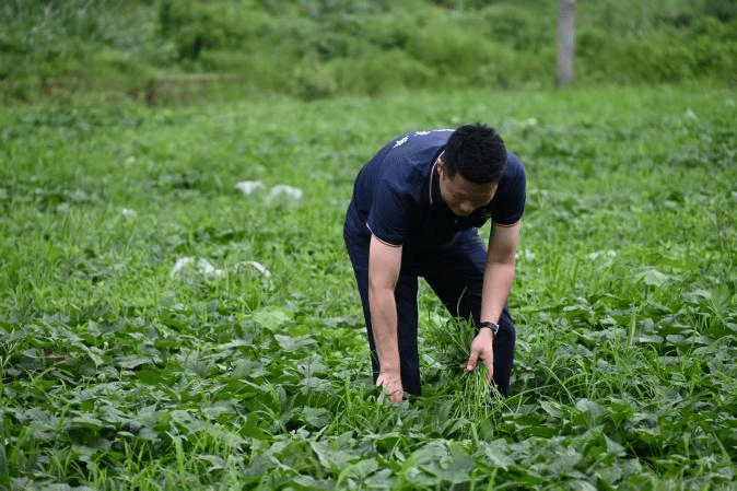 江口县桃映镇8.png