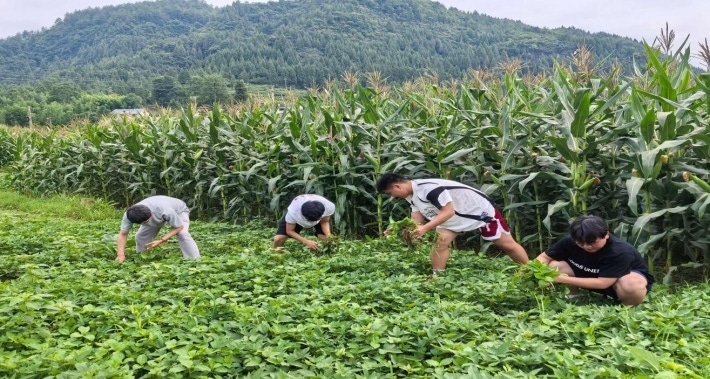经彩筑梦3.png