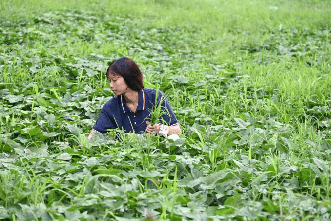 江口县桃映镇6.png