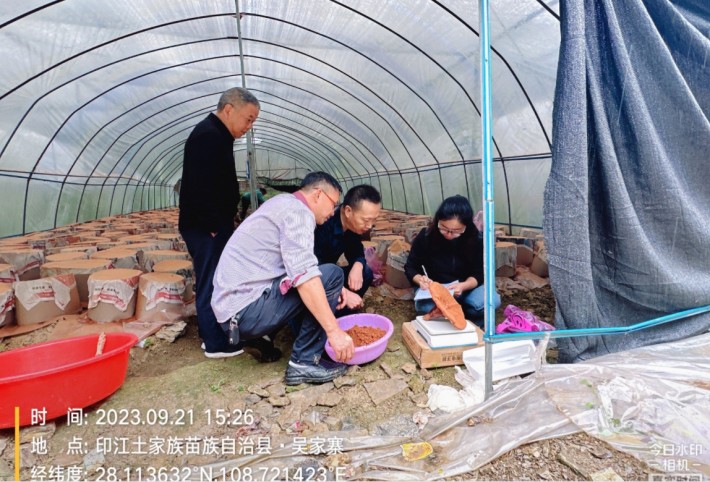 微信截图_20230923171910.png