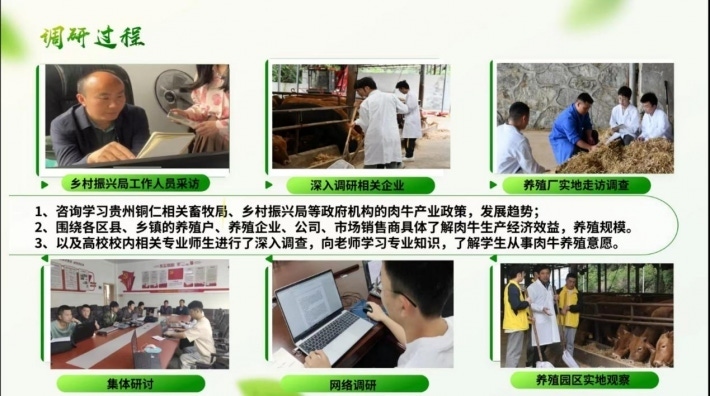 图片19.png
